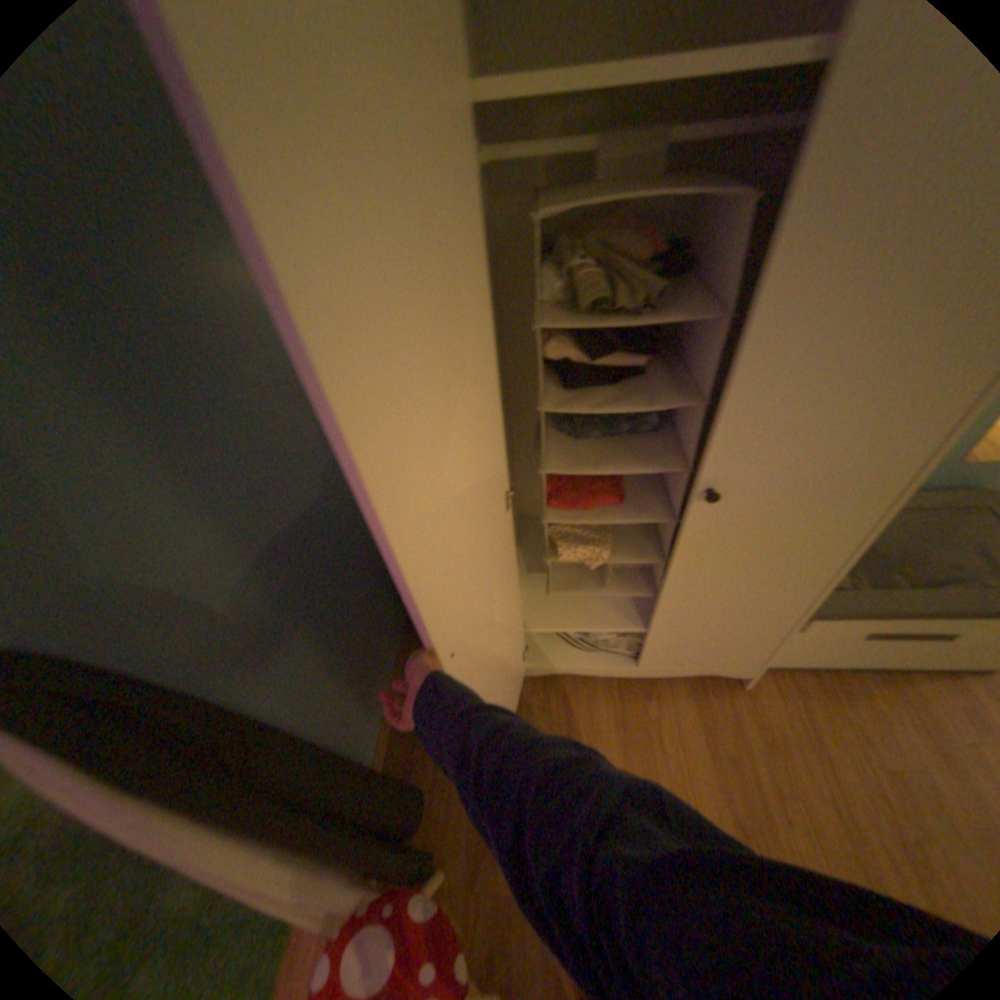 Human Hand view